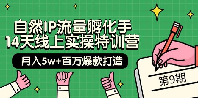 自然IP流量孵化手 14天线上实操特训营【第9期】月入5w+百万爆款打造 (74节)-淘金创客