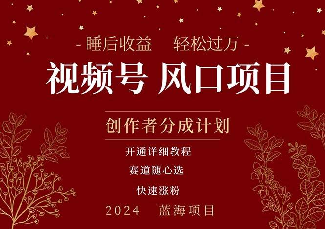拥有睡眠收益的微信视频号大风口项目，轻松月入过万+，多赛道选择，可…-淘金创客