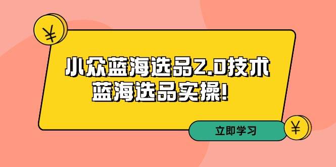 拼多多培训第33期：小众蓝海选品2.0技术-蓝海选品实操！-淘金创客