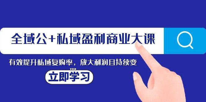 全域公+私域盈利商业大课，有效提升私域复购率，放大利润且持续变现-淘金创客