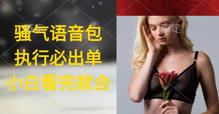 执行就出单，日入2000+，超火骚气语音包，小白看完课程就能马上实操-淘金创客