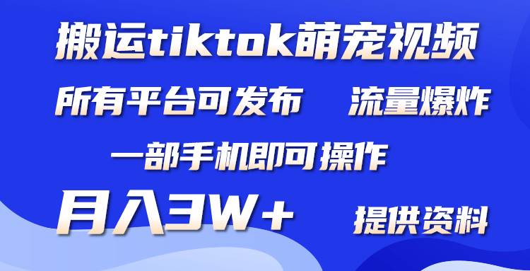 搬运Tiktok萌宠类视频，一部手机即可。所有短视频平台均可操作，月入3W+-淘金创客