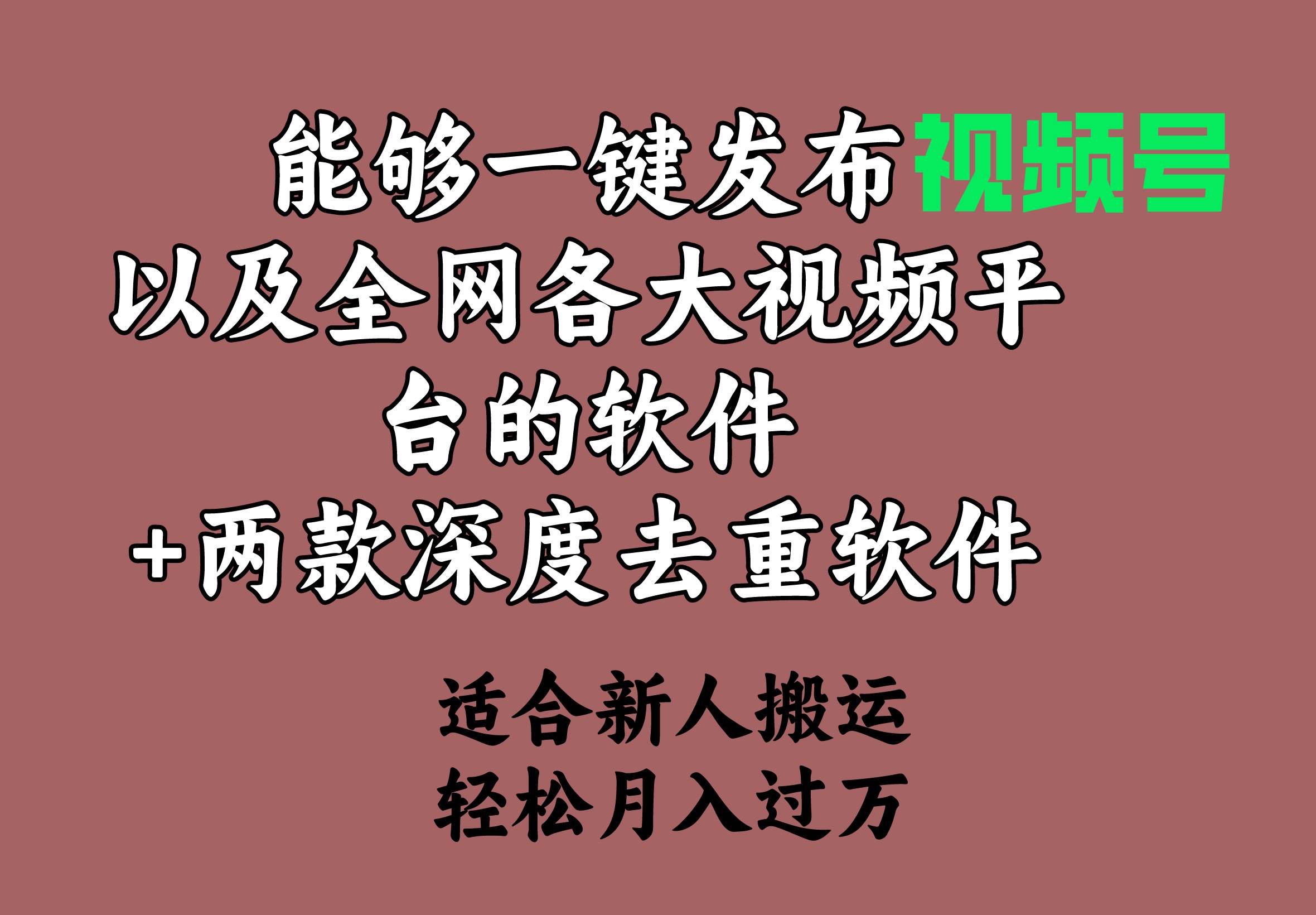 能够一键发布视频号以及全网各大视频平台的软件+两款深度去重软件 适合…-淘金创客