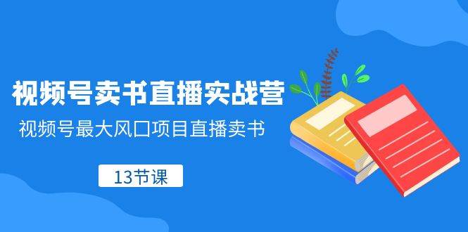 视频号-卖书直播实战营，视频号最大风囗项目直播卖书（13节课）-淘金创客