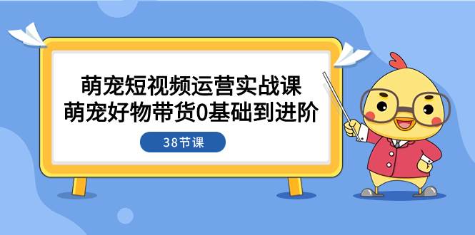 萌宠·短视频运营实战课：萌宠好物带货0基础到进阶（38节课）-淘金创客