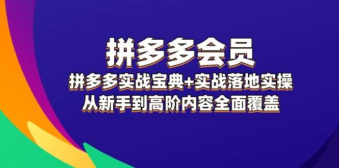 拼多多 会员，拼多多实战宝典+实战落地实操，从新手到高阶内容全面覆盖-淘金创客