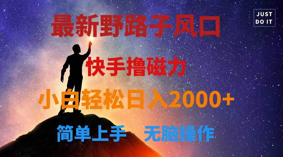 最新风口！快手撸磁力，野路子，小白无脑操作日入2000+-淘金创客