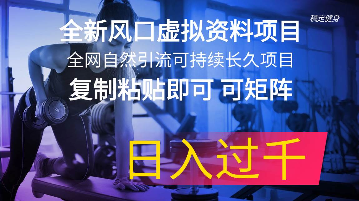 全新风口虚拟资料项目 全网自然引流可持续长久项目 复制粘贴即可可矩阵…-淘金创客