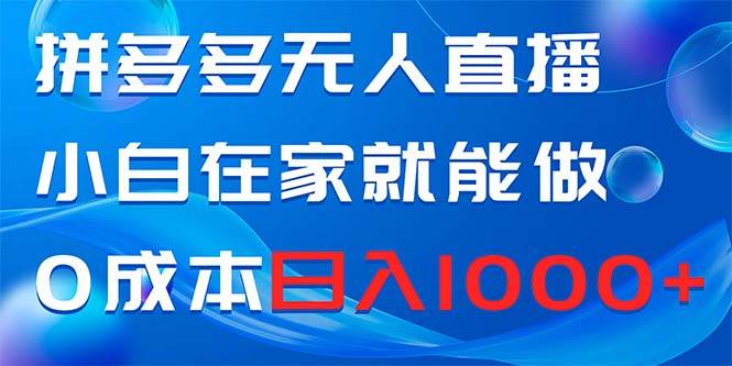 拼多多无人直播，小白在家就能做，0成本日入1000+-淘金创客