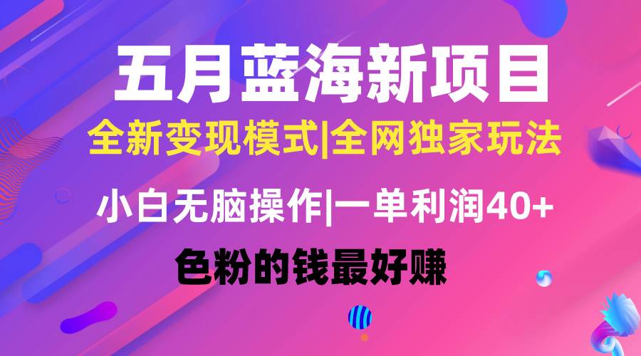 五月蓝海项目全新玩法，小白无脑操作，一天几分钟，矩阵操作，月入4万+-淘金创客