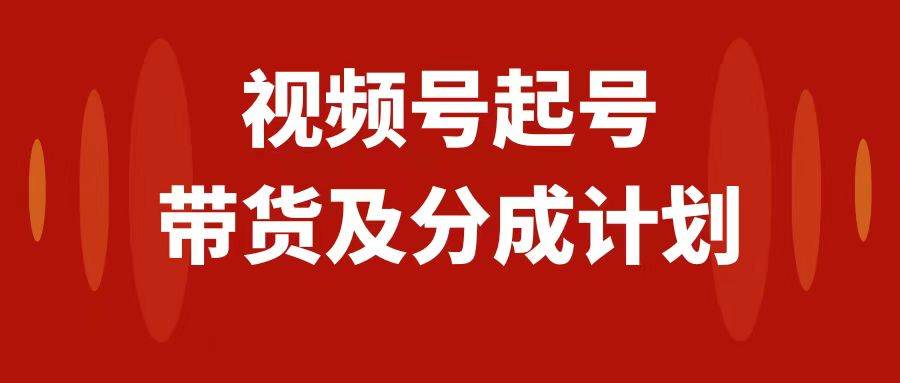 视频号快速起号，分成计划及带货，0-1起盘、运营、变现玩法，日入1000+-淘金创客