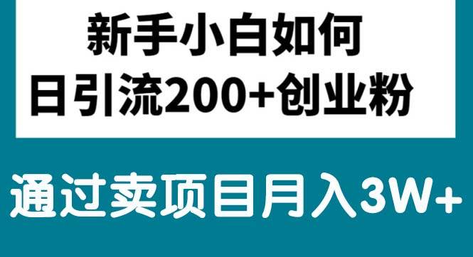 新手小白日引流200+创业粉,通过卖项目月入3W+-淘金创客