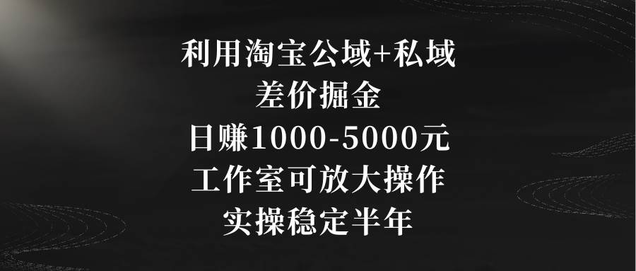 利用淘宝公域+私域差价掘金，日赚1000-5000元，工作室可放大操作，实操…-淘金创客