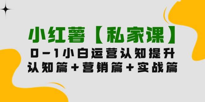 小红薯【私家课】0-1玩赚小红书内容营销，认知篇+营销篇+实战篇（11节课）-淘金创客