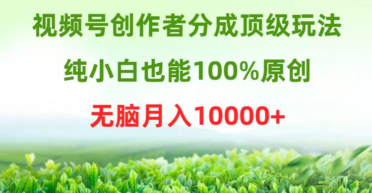 视频号创作者分成顶级玩法，纯小白也能100%原创，无脑月入10000+-淘金创客