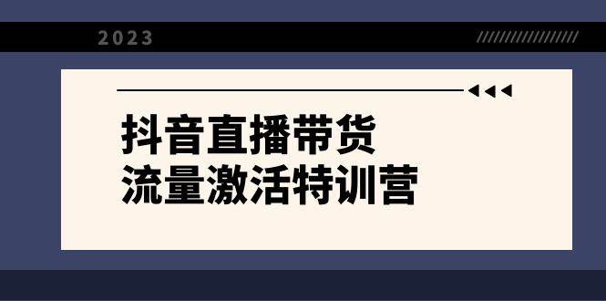 抖音直播带货-流量激活特训营，入行新手小白主播必学（21节课+资料）-淘金创客