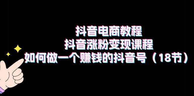 抖音电商教程：抖音涨粉变现课程：如何做一个赚钱的抖音号（18节）-淘金创客