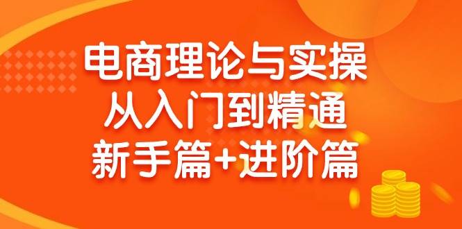电商理论与实操从入门到精通 新手篇+进阶篇-淘金创客
