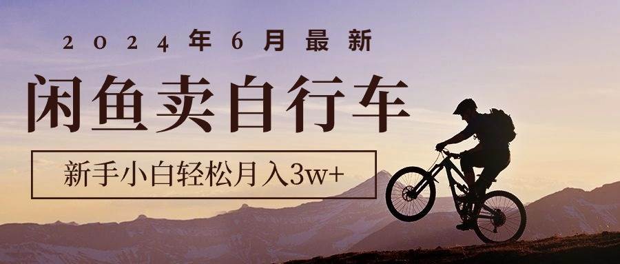 2024年6月最新闲鱼卖自行车，新手小白轻松月入3w+项目-淘金创客