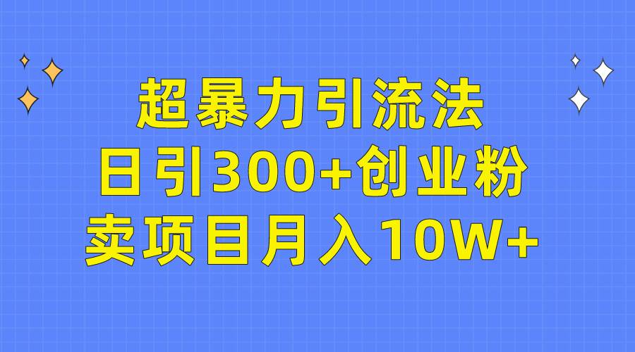 超暴力引流法，日引300+创业粉，卖项目月入10W+-淘金创客