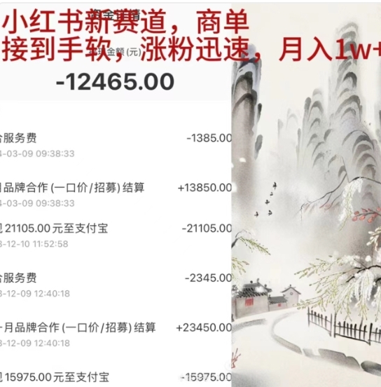 小红书新赛道，商单接到手软，涨粉迅速，一个月1w+-淘金创客