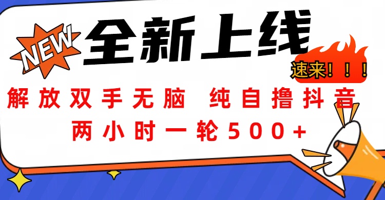 解放双手无脑 纯自撸抖音 两小时一轮500+-淘金创客