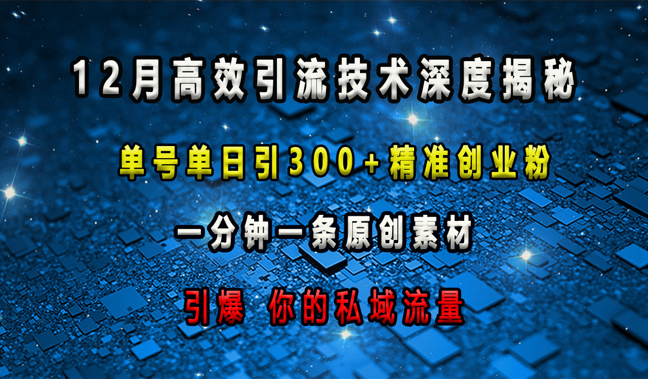 12月高效引流技术深度揭秘 ，单号单日引300+精准创业粉，一分钟一条原创素材，引爆你的私域流量-淘金创客