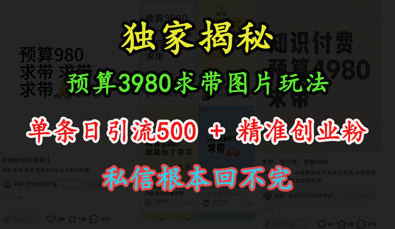 “小红书”预算3980求带 图片玩法，单条日引流500+精准创业粉，私信根本回不完-淘金创客