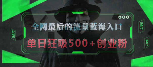 全网最后的流量蓝海入口，半小时引流50+创业粉，单日狂吸500+创业粉-淘金创客