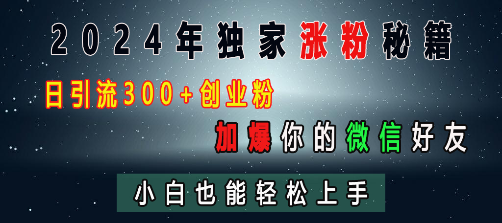 2024年独家涨粉秘籍，日引流300+创业粉，加爆你的微信好友，小白也能轻松上手-淘金创客