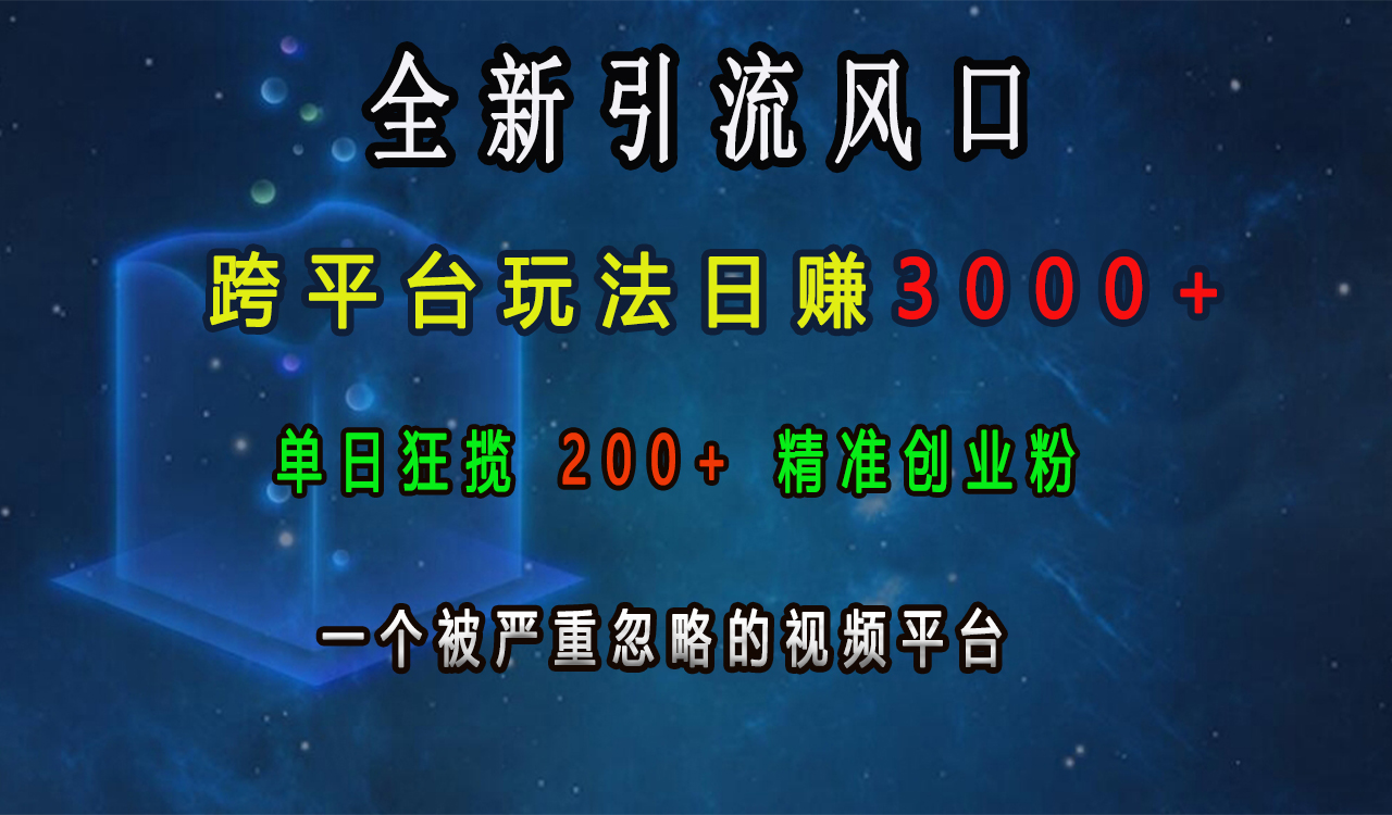 全新引流风口，跨平台玩法日赚3000+，单日狂揽200+精准创业粉，一个被严重忽略的视频平台-淘金创客