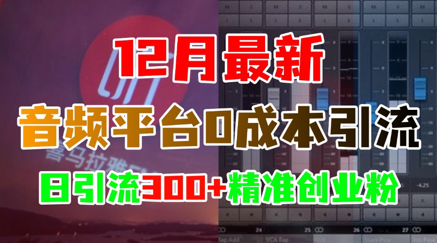 12月最新：音频平台0成本引流，日引300+精准创业粉-淘金创客