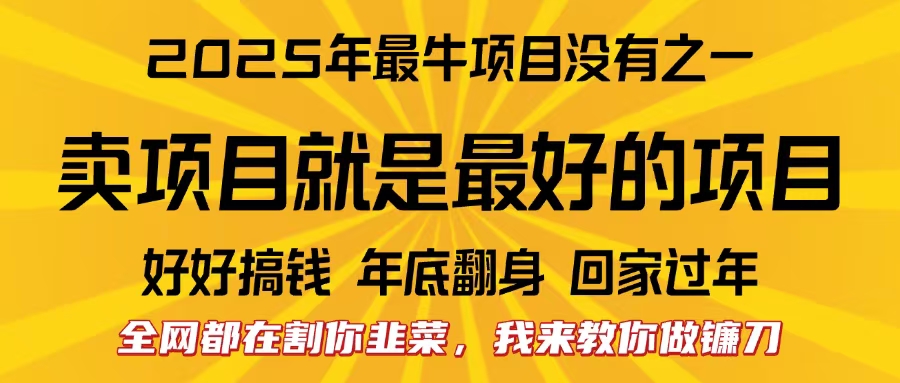 全网都在割你韭菜，我来教你做镰刀。卖项目就是最好的项目，2025年最牛互联网项目-淘金创客