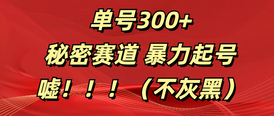 单号300+  秘密赛道 暴力起号  （不灰黑）-淘金创客