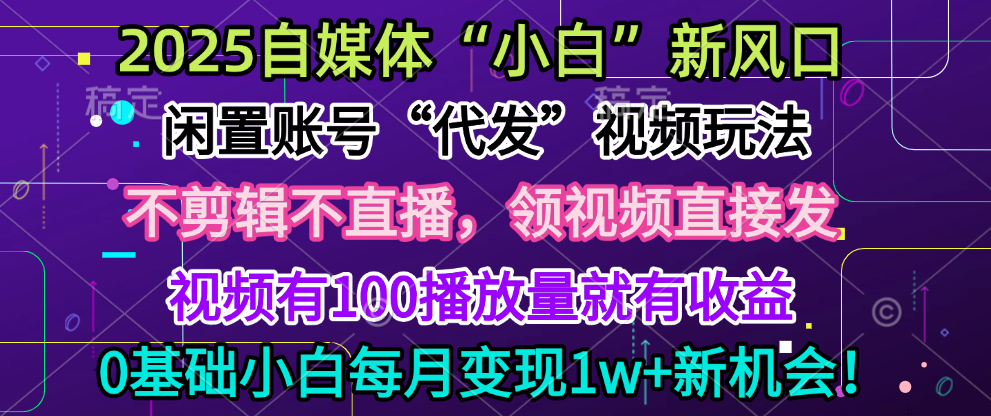 2025每月躺赚5w+新机会，闲置视频账号一键代发玩法，0粉不实名不剪辑，领了视频直接发，0基础小白也能日入300+-淘金创客