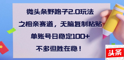 全网首发微头条野路子2.0玩法之相亲赛道，无脑搬砖复制粘贴，单账号日稳定300+保姆级教程-淘金创客