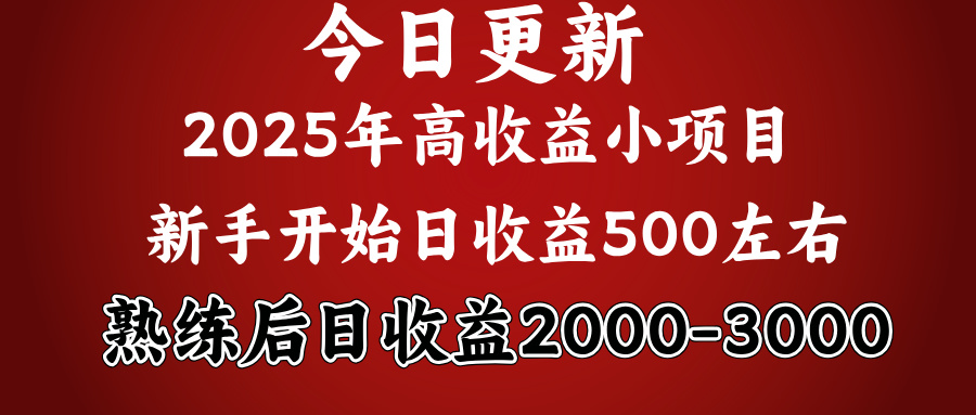 2025开年好项目，新手日收益500+ 熟练掌握后，日收益平均2000多-淘金创客