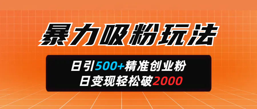 暴力吸粉玩法，日引500+精准创业粉，日变现轻松破2000-淘金创客