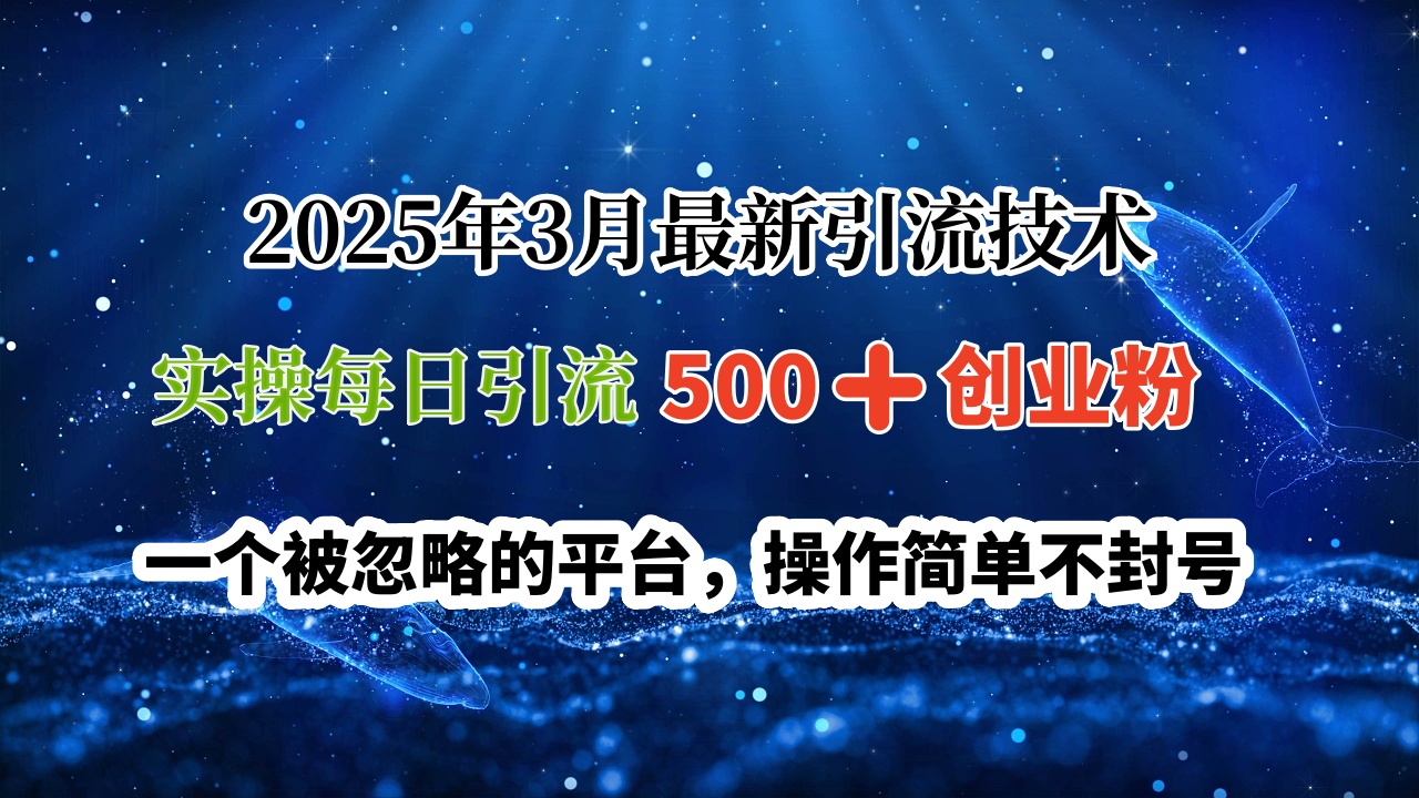 2025年3月最新引流技术，实操每日引流500➕创业粉，一个被忽略的平台，操作简单不封号-淘金创客