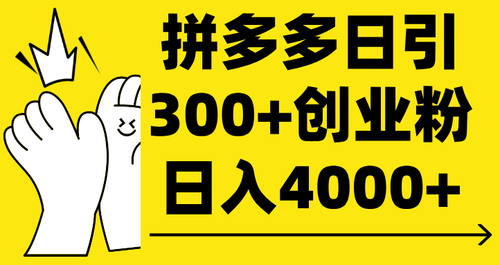 拼多多日引300+创业粉 日入4000+-淘金创客