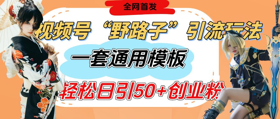 视频号“野路子”玩法，评论区疯狂截流，一套模板单日单号引流50+创业粉-淘金创客