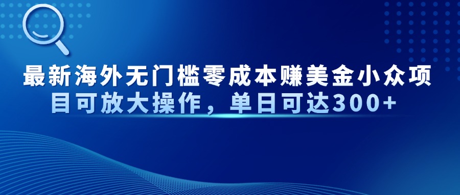 最新海外无门槛美金小众项目可放大操作，单日可达300+-淘金创客