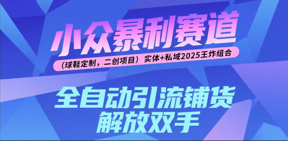 楠—小众暴利赛道（球鞋定制，二创项目）实体+私域2025王炸组合-淘金创客