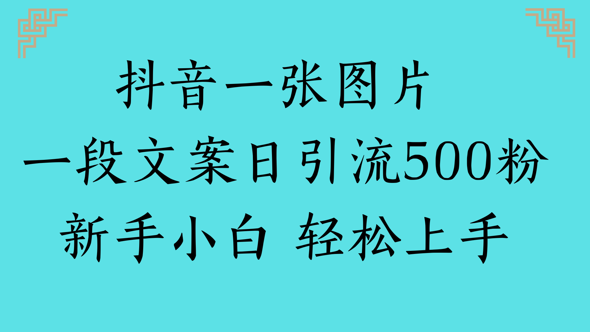 抖音一张图片 一段文案日引流500粉新手小白 轻松上手-淘金创客