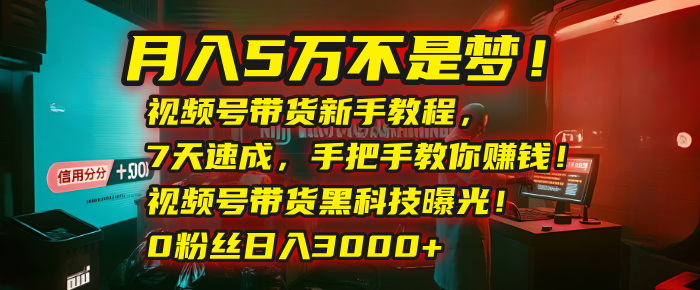 月入5万不是梦！视频号带货新手教程，7天速成，手把手教你赚钱！视频号带货黑科技曝光！0粉丝日入3000+-淘金创客